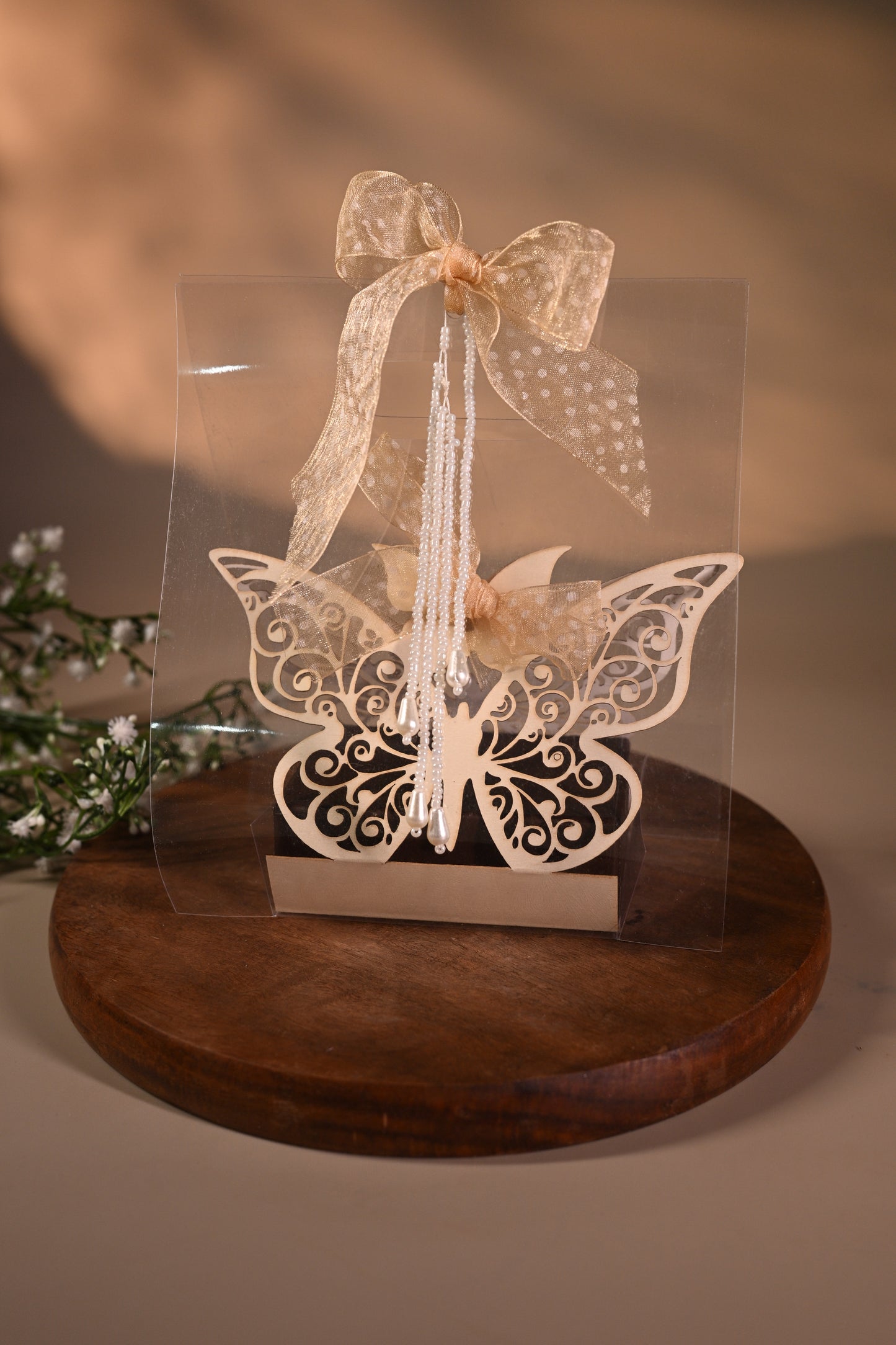 Butterfly coin box with bag