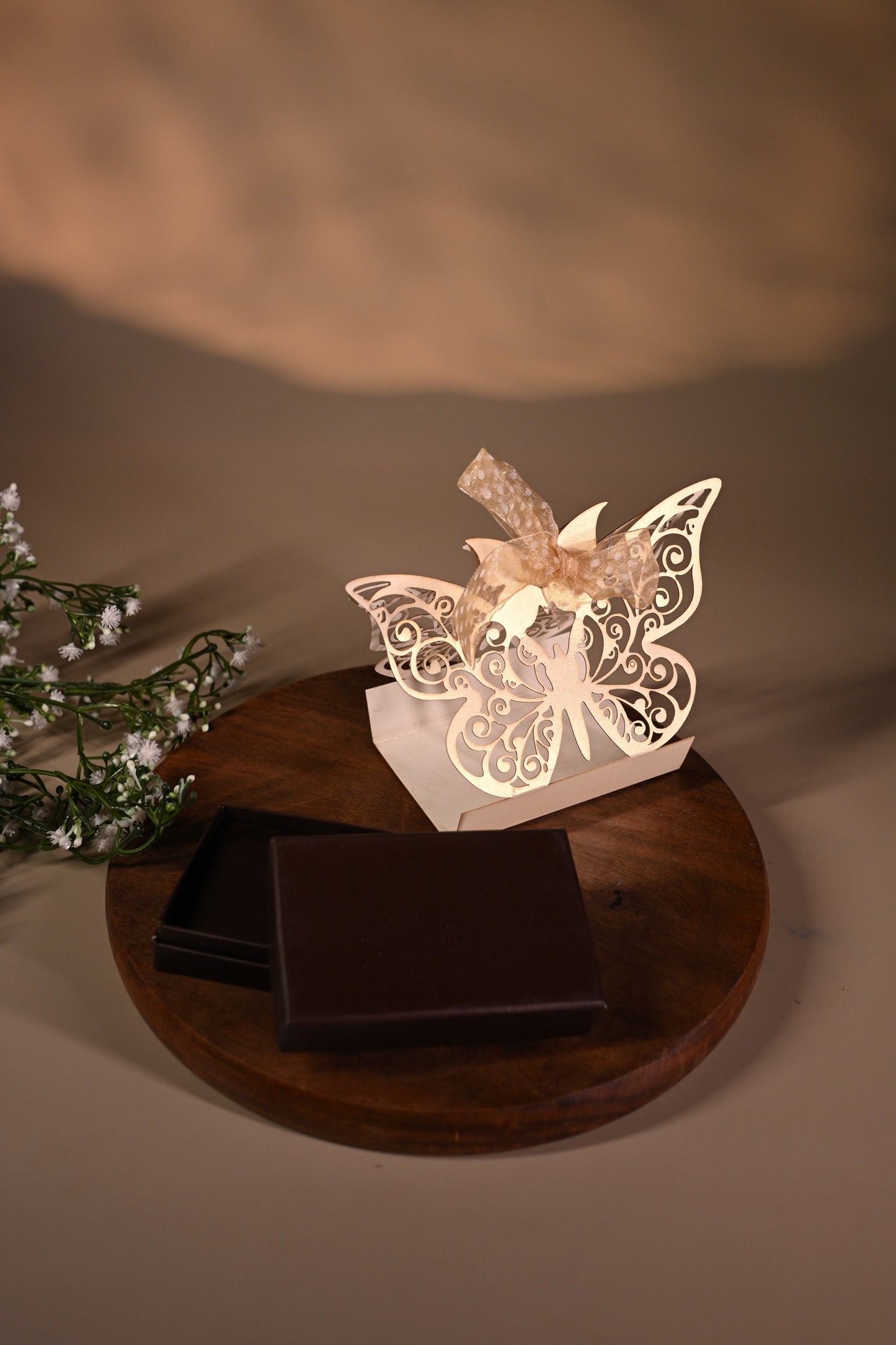Butterfly coin box with bag