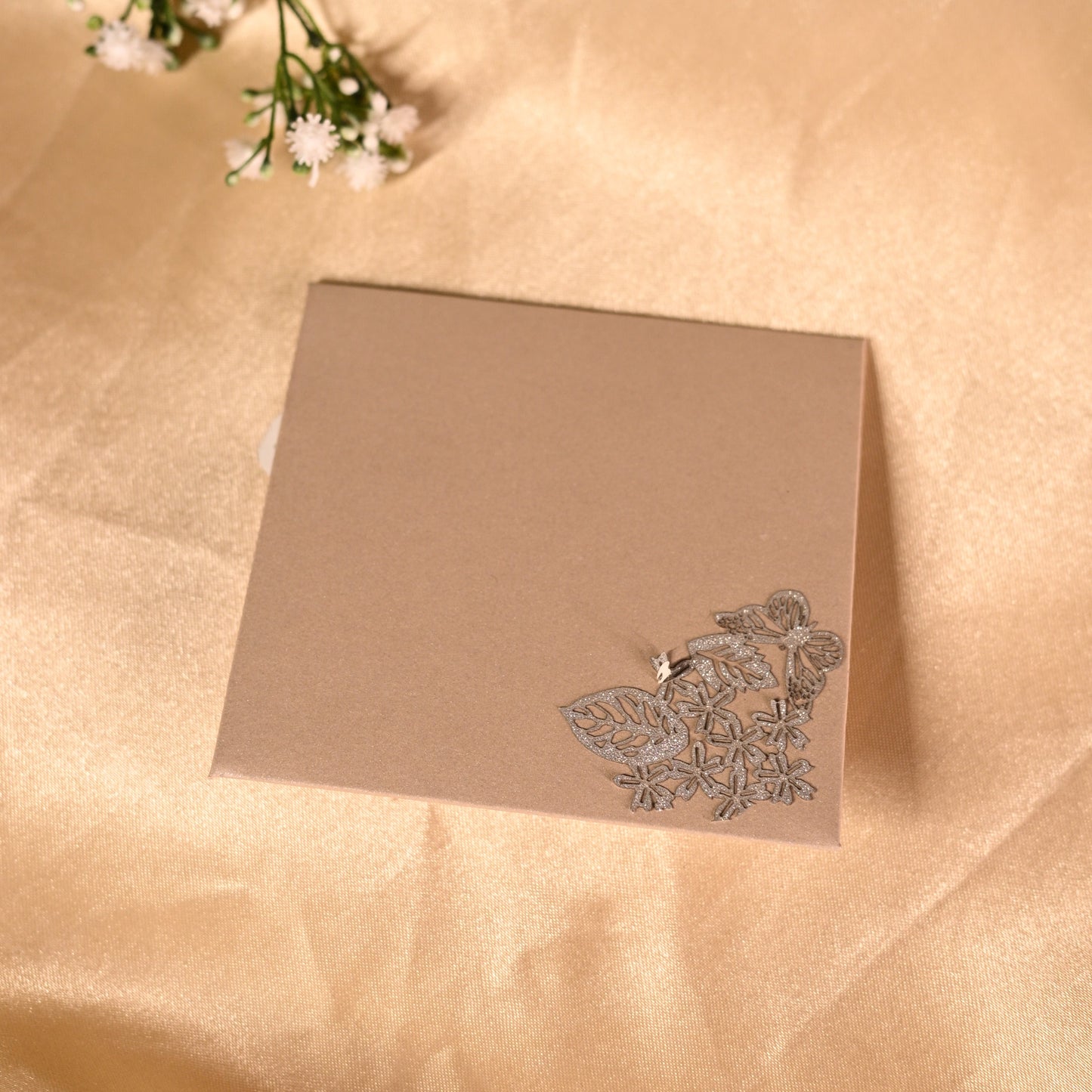 Butterfly Flap Small Envelope Sliver -set of 5