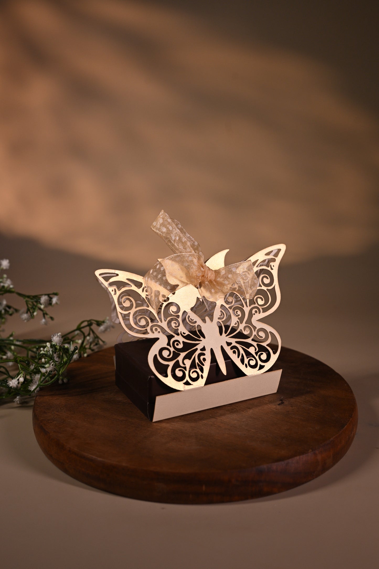 Butterfly coin box with bag
