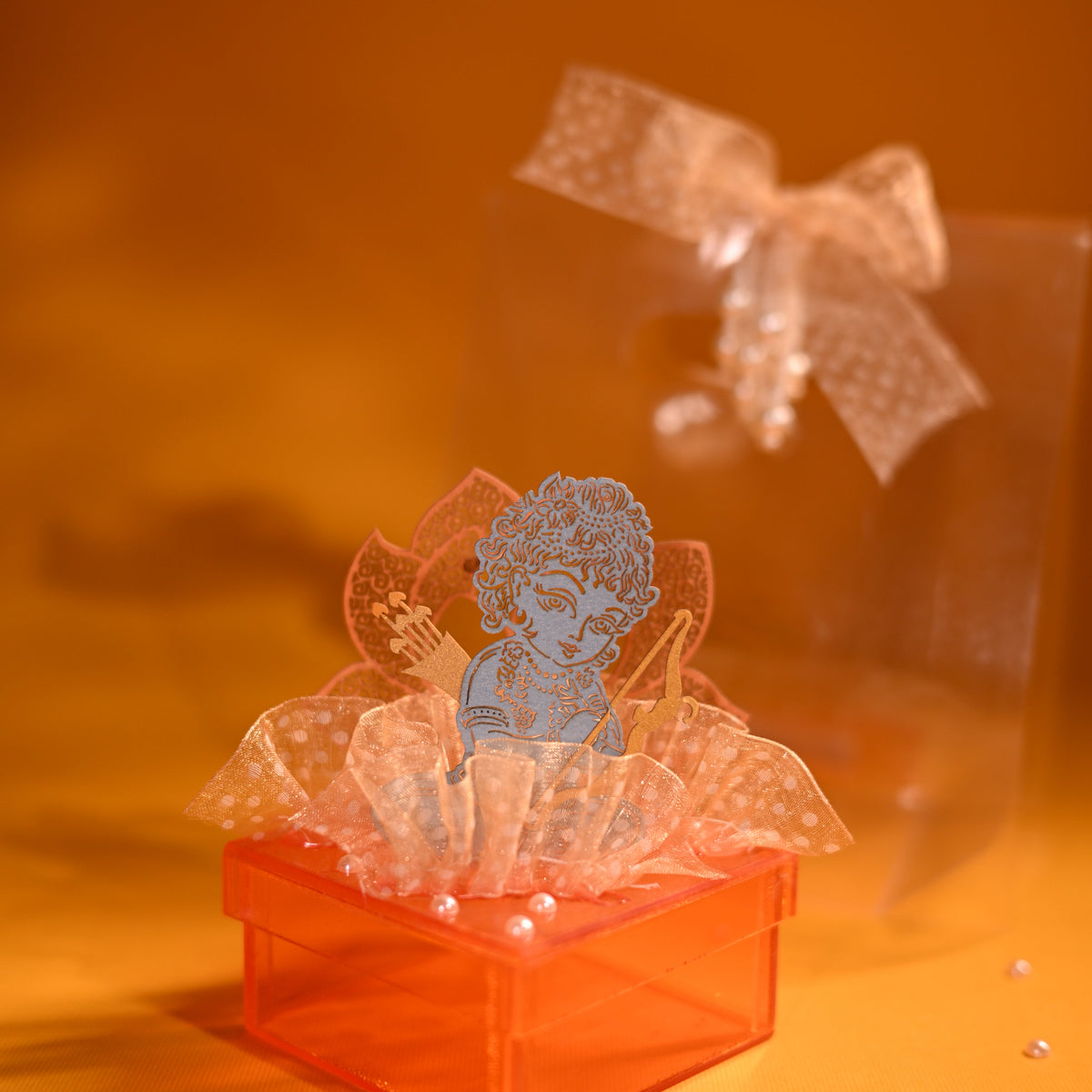 Ram Lala Acrylic coin box 